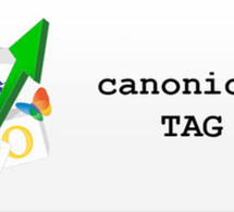 Avoid duplicate content with the LINK rel="canonical" tag