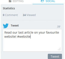 Custom your tweets and urls when posting an article